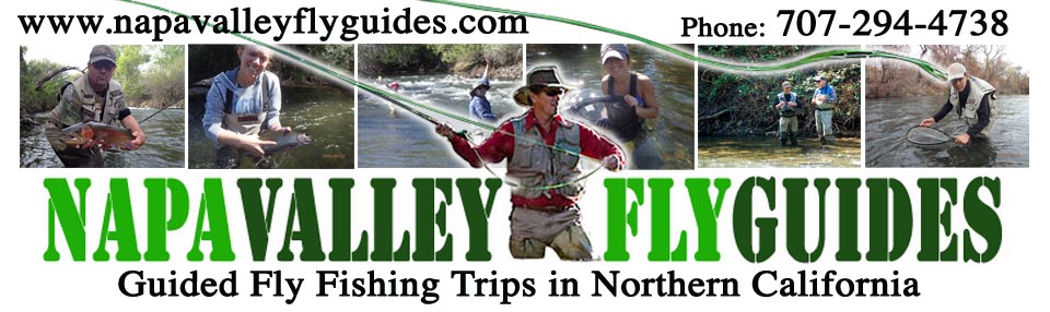 Putah Creek Fly Fishing Guide Richard Loft of Napa Valley Fly Guides, offers fly fishing trips and fly fishing instruction on Putah Creek and the Yuba River in the famous Napa Valley, California.